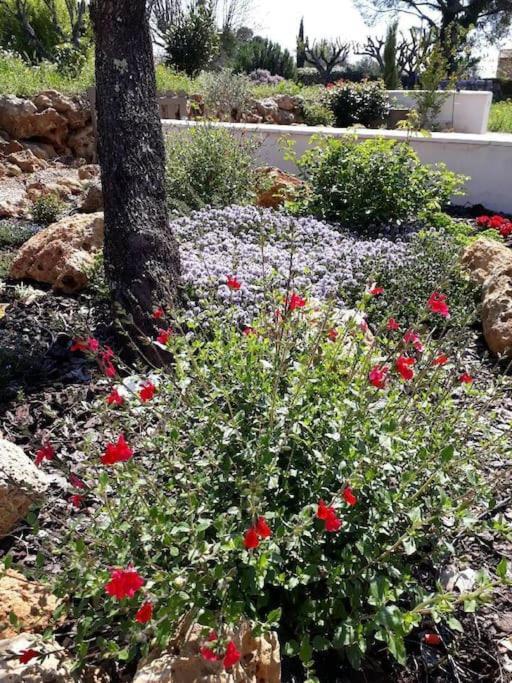 Maison 2 Ou 4 Personnes Jardin Parking Les Amandiers ลอร์เกส ภายนอก รูปภาพ
